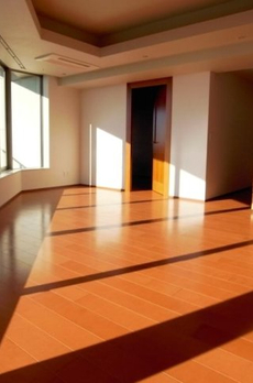 コスモポリス品川 