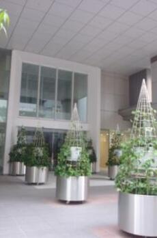 MOMENTO SHIODOME 