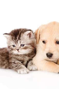 アジュールテラス日本橋浜町 