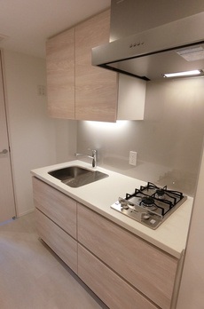 ザパークハビオ月島フロント 