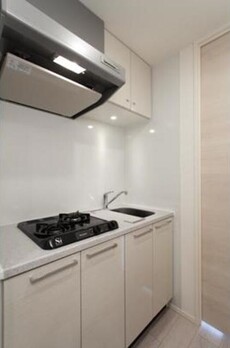 レビスタ白金高輪 