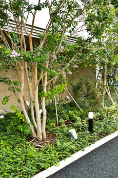 パークアクシス東陽町・親水公園 