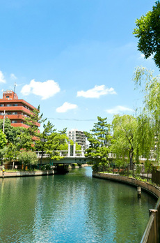 パークアクシス東陽町・親水公園 